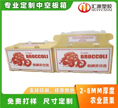 蔬菜水果包裝箱