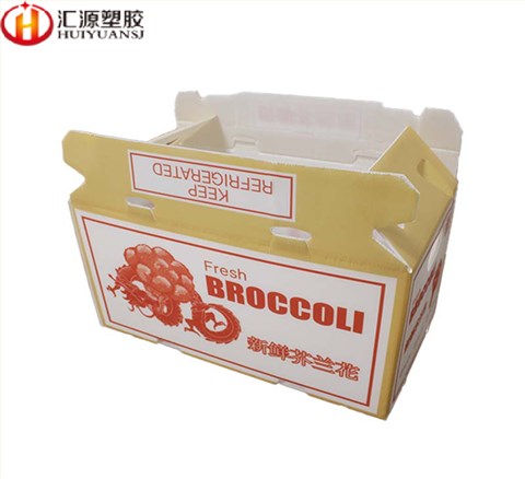 蔬菜水果包裝箱