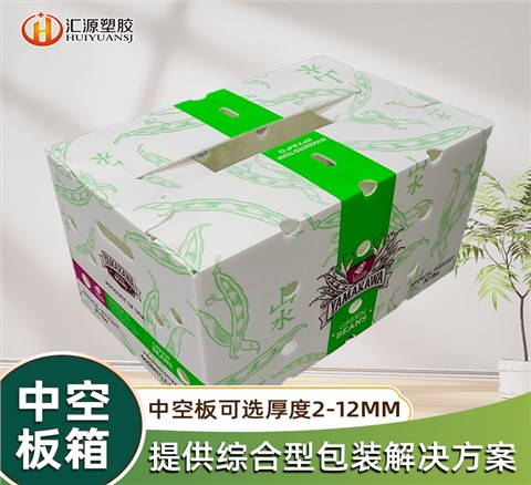 白色紙箱式中空板周轉(zhuǎn)箱