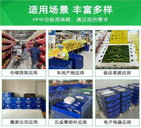 白色紙箱式中空板周轉(zhuǎn)箱