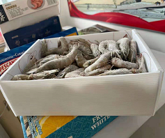 可循環(huán)快遞中空板箱質(zhì)量好不好？-匯源塑膠m.tonghuijt.com