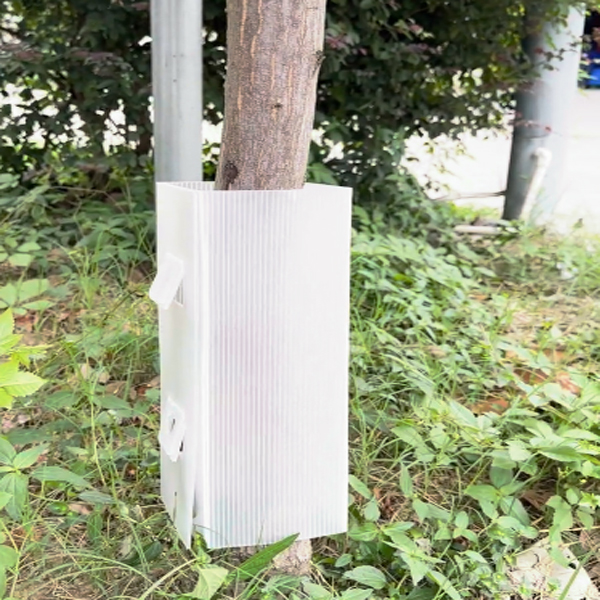 中空板護(hù)苗板